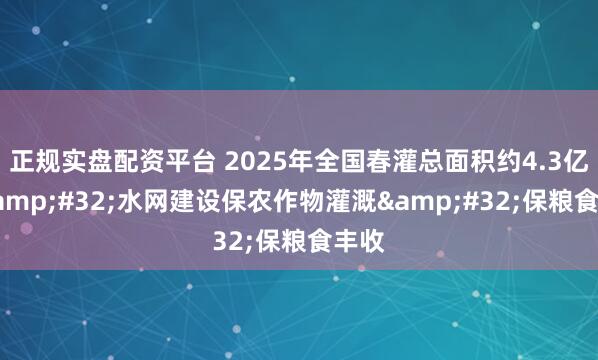 正规实盘配资平台 2025年全国春灌总面积约4.3亿亩&#32;水网建设保农作物灌溉&#32;保粮食丰收