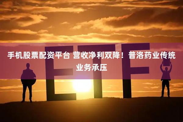 手机股票配资平台 营收净利双降！普洛药业传统业务承压